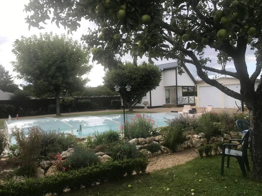 Gite Chalet-Piscine "Belle-Etoile" Touraine Anjou Courcelles-de-Touraine Luaran gambar