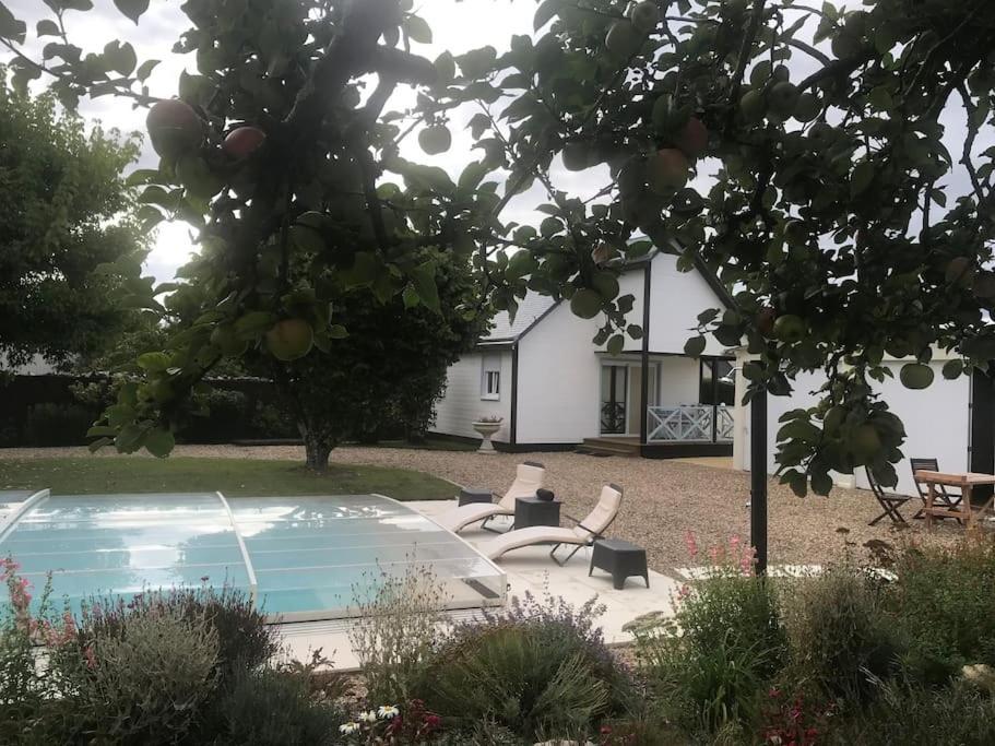 Gite Chalet-Piscine "Belle-Etoile" Touraine Anjou Courcelles-de-Touraine Luaran gambar